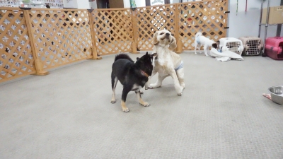 DSC03316.JPG