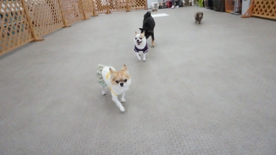 DSC03358.JPG