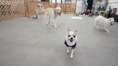 DSC03364.JPG