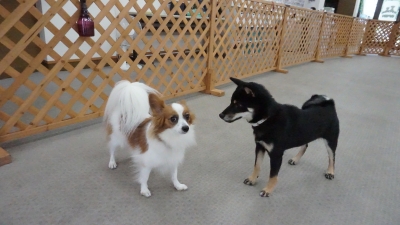 DSC03366.JPG