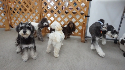 DSC03542.JPG