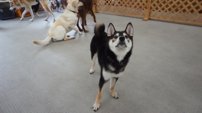 DSC03590.JPG