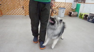 DSC03707.JPG
