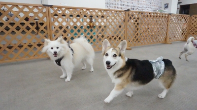 DSC03709.JPG