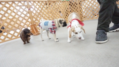 DSC03740.JPG