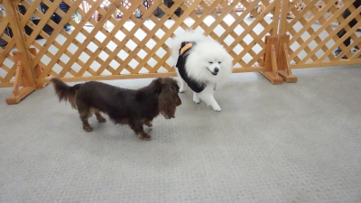 DSC03756.JPG