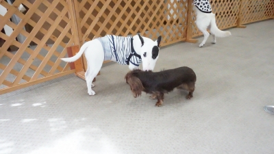 DSC03760.JPG