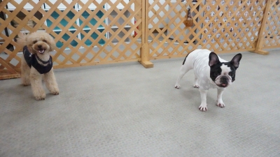 DSC03764.JPG