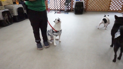 DSC03781.JPG