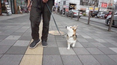 DSC03796.JPG