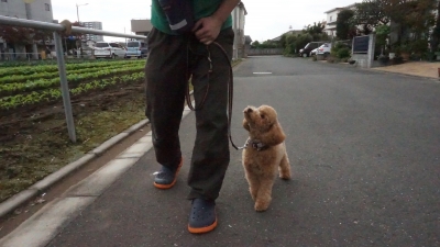 DSC03804.JPG