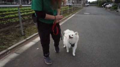 DSC03807.JPG