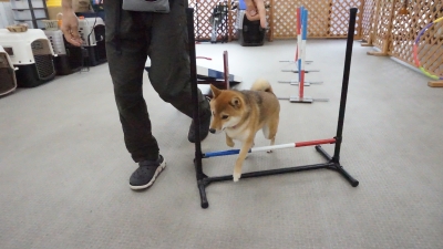 DSC03811.JPG