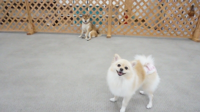 DSC03816.JPG