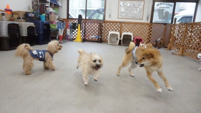 DSC03832.JPG