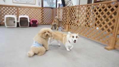 DSC03835.JPG