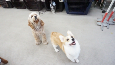 DSC03844.JPG