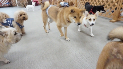 DSC03852.JPG