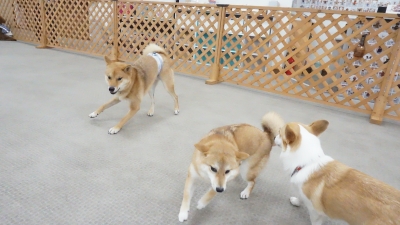 DSC03854.JPG