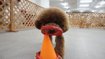 DSC03870.JPG