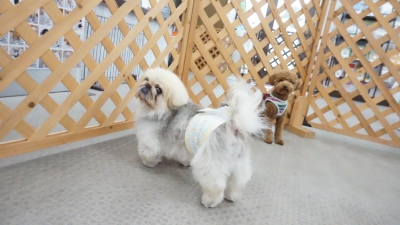 DSC03905.JPG