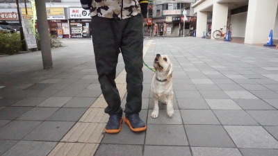 DSC03934.JPG