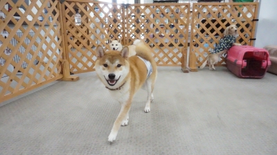 DSC03969.JPG
