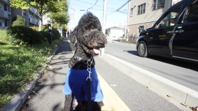 DSC04035.JPG