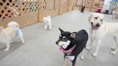 DSC04044.JPG