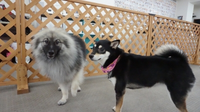 DSC04046.JPG