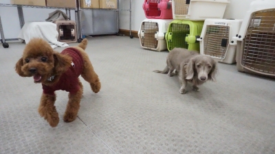 DSC04105.JPG