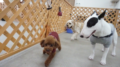 DSC04108.JPG