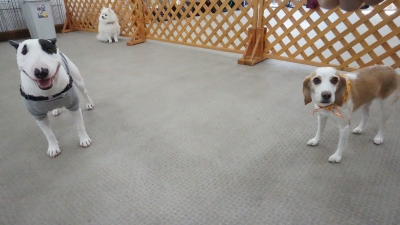 DSC04110.JPG