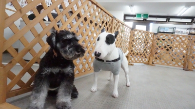 DSC04115.JPG