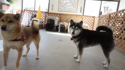 DSC04118.JPG