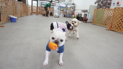 DSC04124.JPG