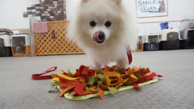 DSC04131.JPG