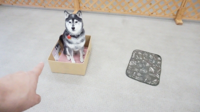 DSC04141.JPG