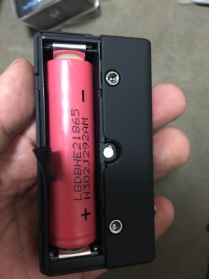 rDNA40_bat