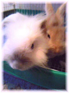 Image1235.jpg