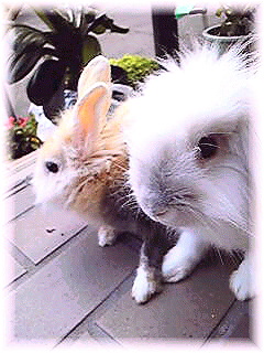 Image1360.jpg