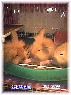 Image1134.jpg
