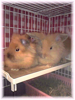 Image1144.jpg