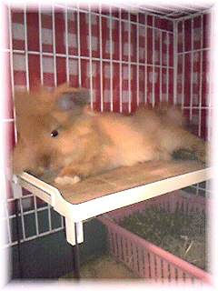 Image1143.jpg