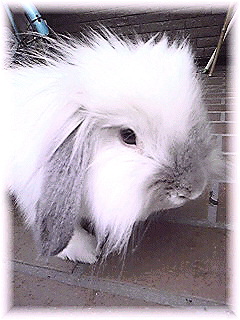 Image132.jpg