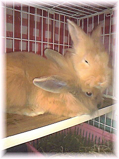Image140.jpg