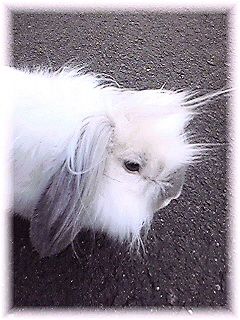 Image591.jpg