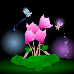 カサブランカ・ファイナル