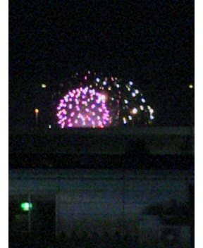 東大阪市民ふれあい祭り2009.5.9