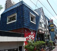 木の実